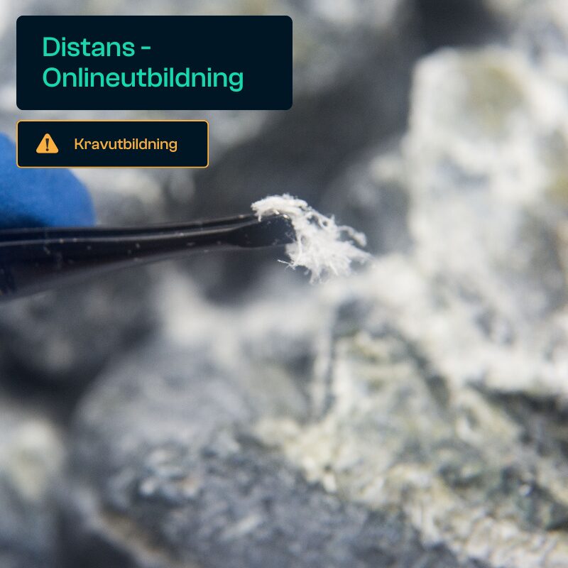 Asbest webbutbildning