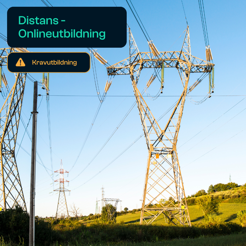 Elsäkerhet vid arbete (EVA)