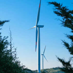 Hållbar utveckling Utbildning online