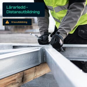 BAS P/U Lärarledd online